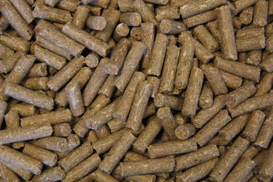 Protein and Performance